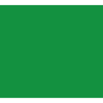 FOAM BOARD GREEN 20X30 BAZIC