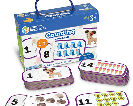 COUNTING PUZZLE CARDS