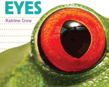 LIBRO BB WHOSE IS IT? EYES