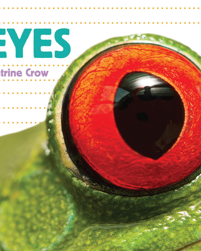 LIBRO BB WHOSE IS IT? EYES