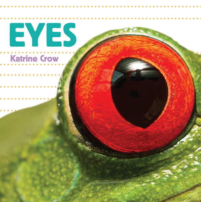 LIBRO BB WHOSE IS IT? EYES