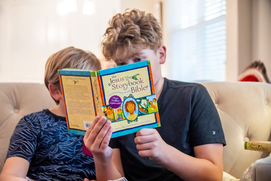 BIBLIA INFANTIL THE JESUS STORYBOOK