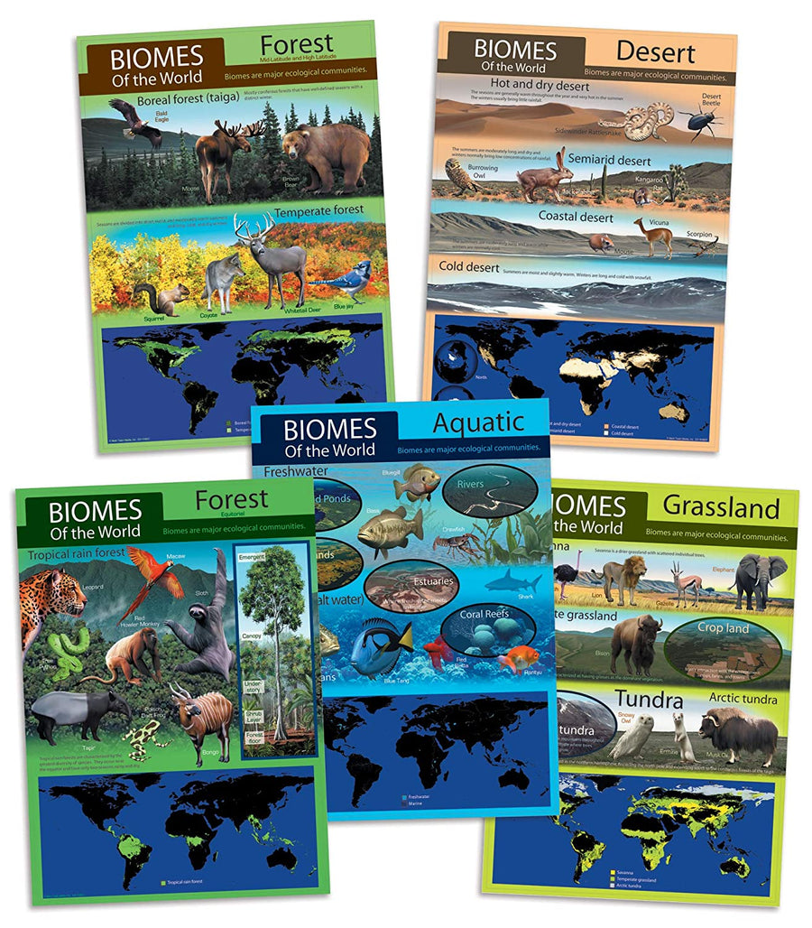 BULLETIN HABITAT 410027