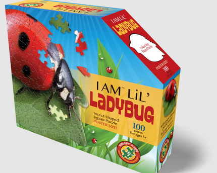 ROMPECABEZAS I AM LIL´ LADYBUG 100PC