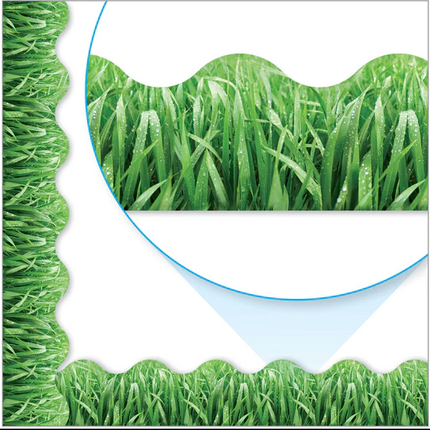 BORDE GRASS