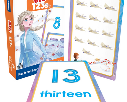 FLASH CARD BIG 123S