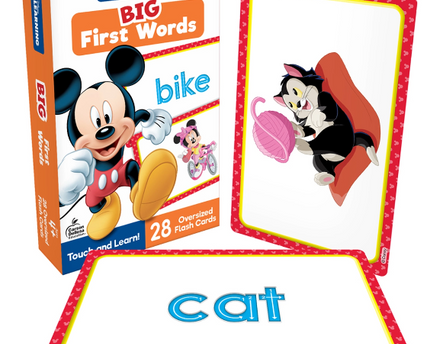FLASH CARD BIG FIRST WORDS
