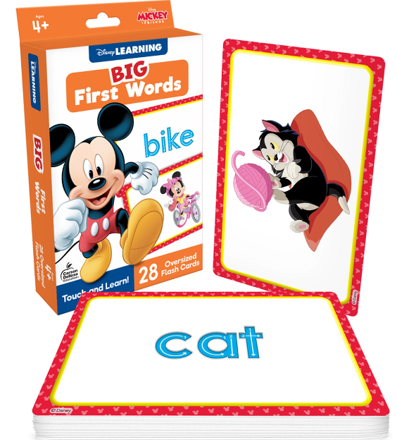 FLASH CARD BIG FIRST WORDS