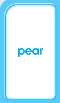 FLASH CARD PICTURE WORD