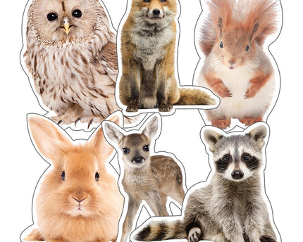 CUT OUST WOODLAND WHIMSEY ANIMALS