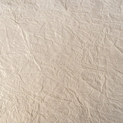 PAPEL ARTESANAL BLANCO PERLADO 22X29PULG