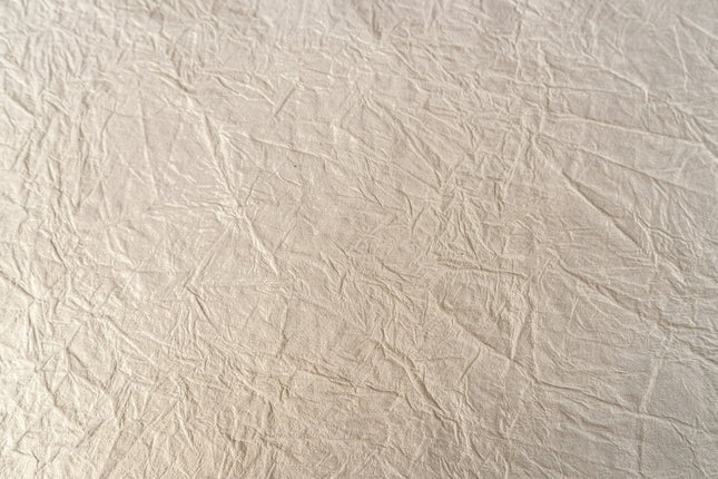 PAPEL ARTESANAL BLANCO PERLADO 22X29PULG