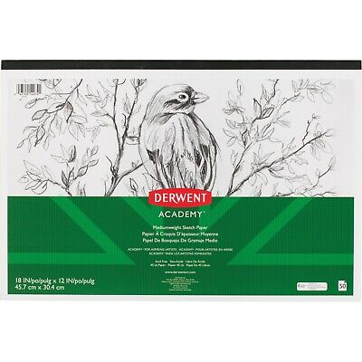SKETCH PAD DERWENT 18X12