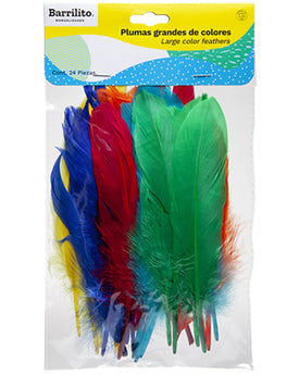 PAQUETE DE PLUMAS DE COLORES GRANDE