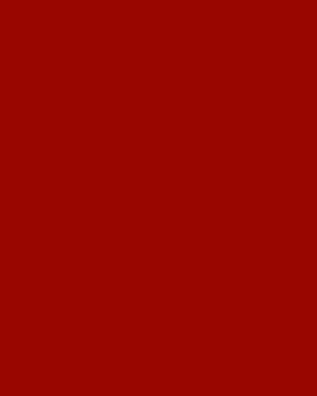 PAPEL IRIS PLIEGO ROJO